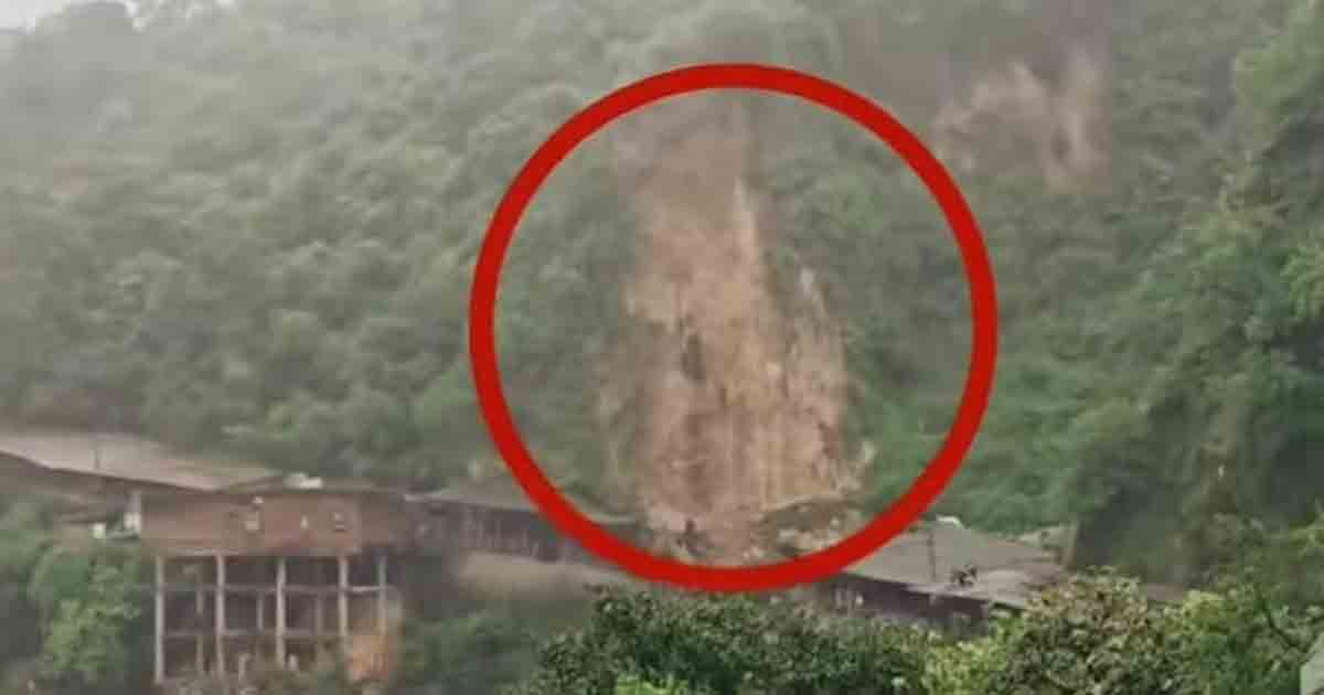 Vaishno Devi: বৈষ্ণোদেবীতে একাধিক তীর্থযাত্রীরা নিহত