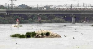 Yamuna river