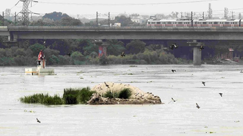 Yamuna river