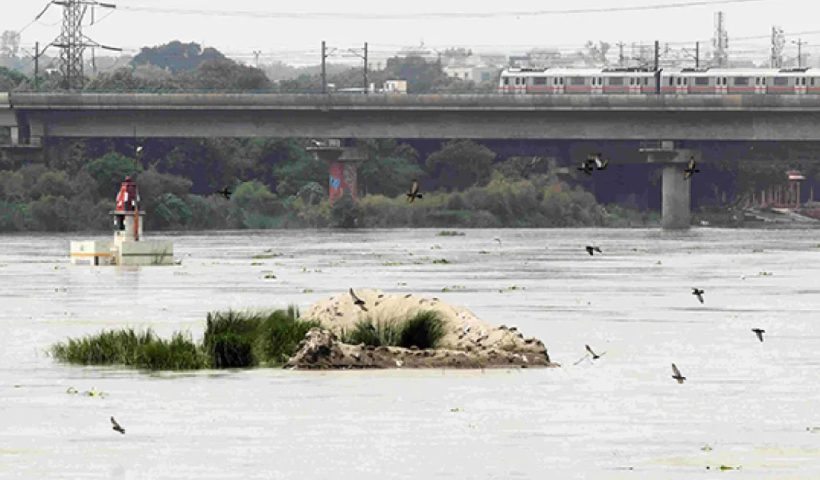 Yamuna river