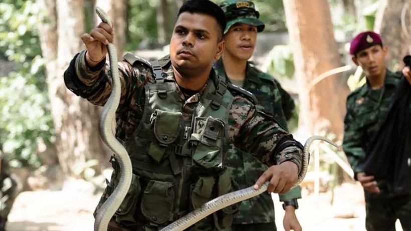 Military Exercise army