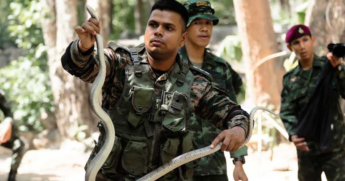 Military Exercise army