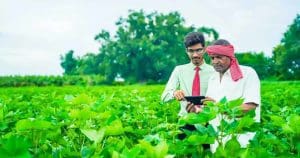 Farming choice of farmers