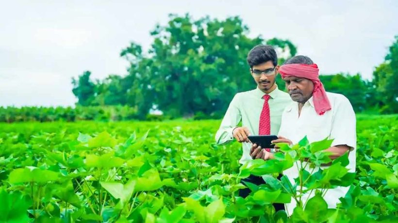 Farming choice of farmers