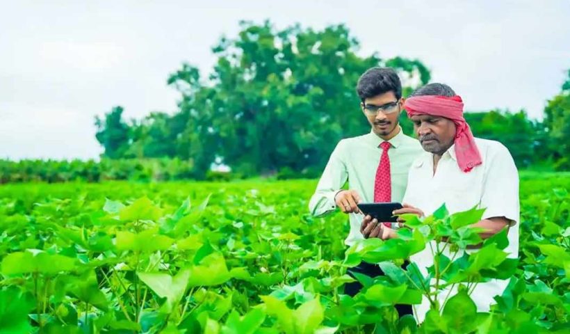 Farming choice of farmers