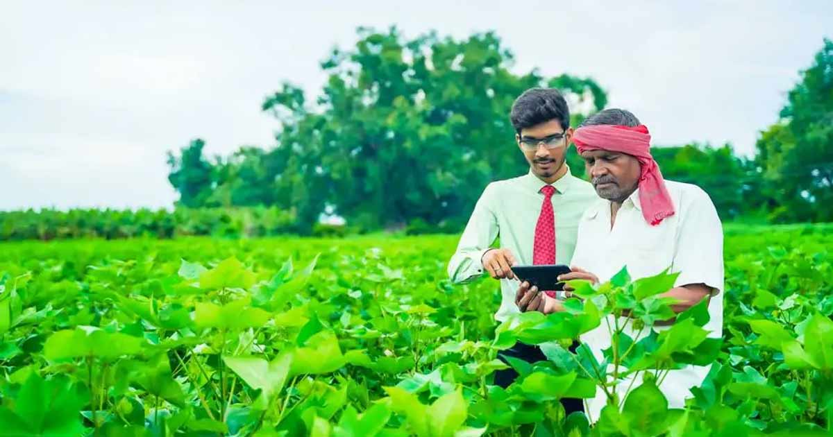 Farming choice of farmers