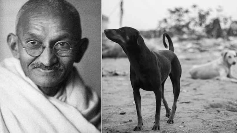 Gandhiji approved killing of 60 strays