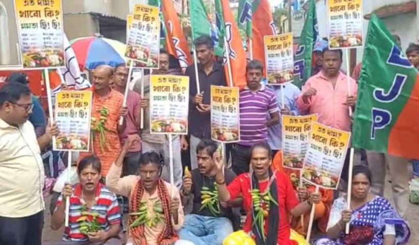 সবজির মূল্যবৃদ্ধির প্রতিবাদে গলায় কাগজি-শসা-ভেন্ডির মালা পরে রাস্তায় বিজেপি নেতারা