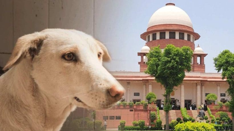 Supreme Court new order
