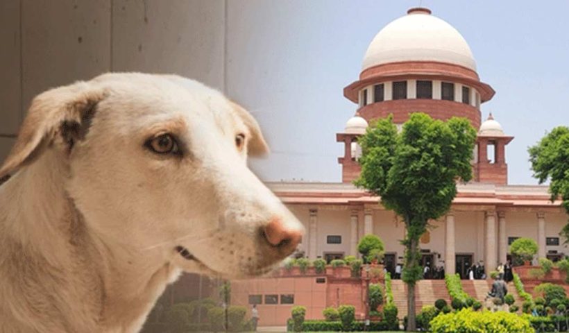Supreme Court new order