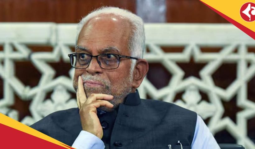 Vice President