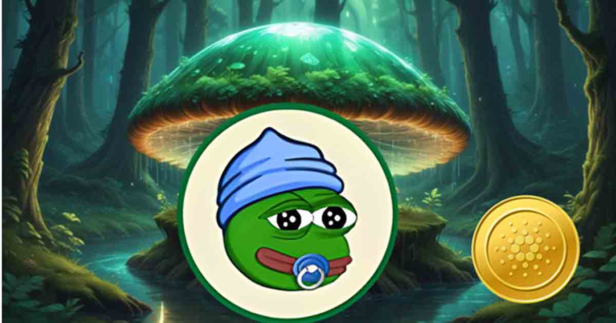 Lilpepe