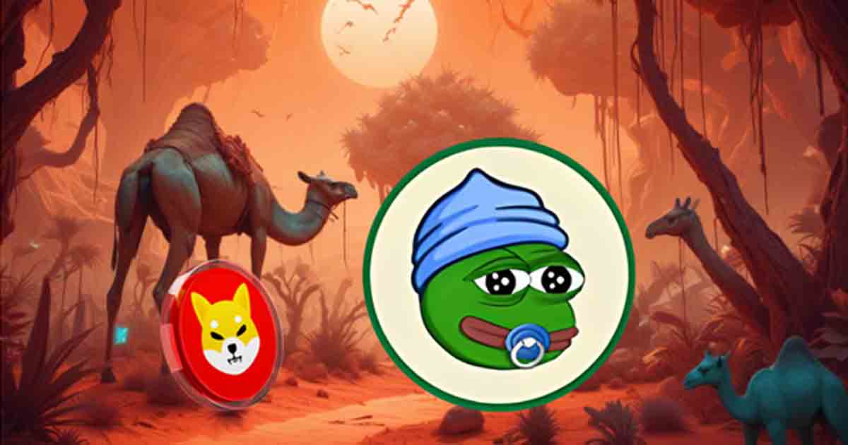 Lilpepe