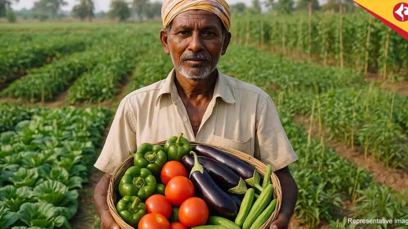 Top Profitable Vegetables to Grow in West Bengal