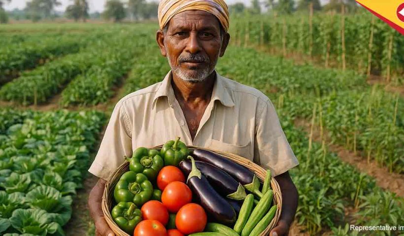Top Profitable Vegetables to Grow in West Bengal