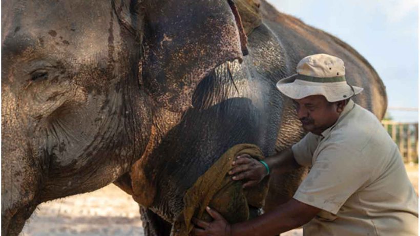 Vantara Champions Its Caregivers