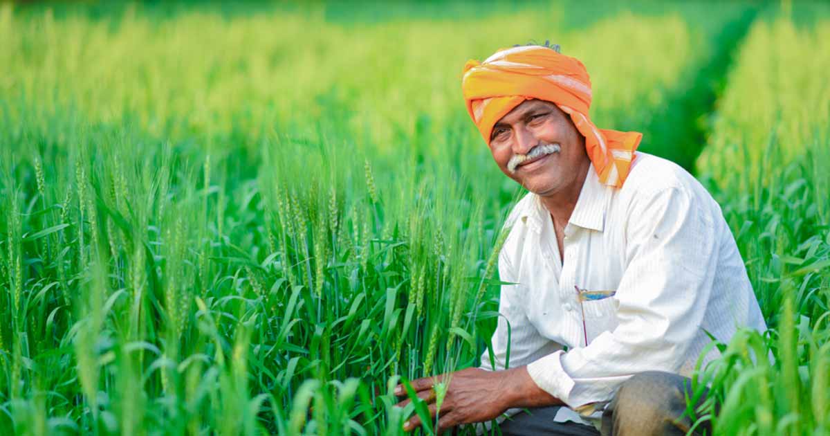 GST সংস্কারে কৃষকদের মুখে হাসি! কমবে কৃষিজাত পণ্যের বাজারদর