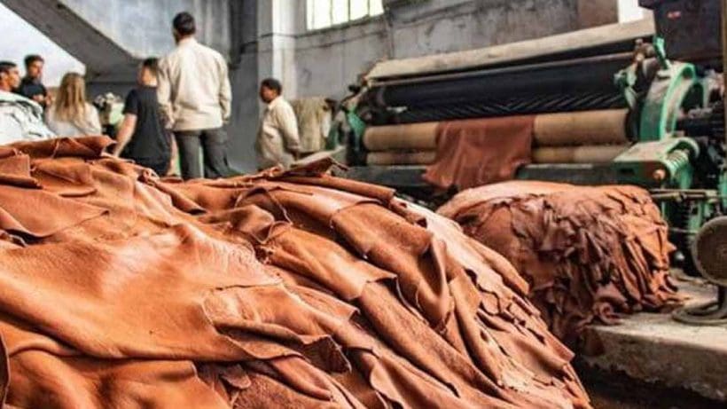 Kanpur Leather