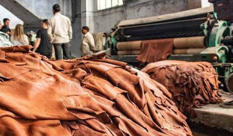 Kanpur Leather