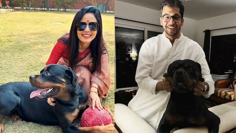 Mahua Moitra Dog Custody