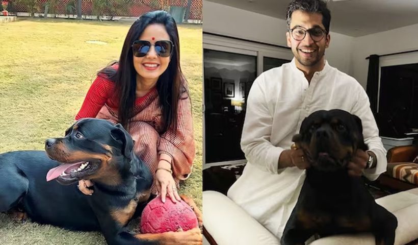Mahua Moitra Dog Custody