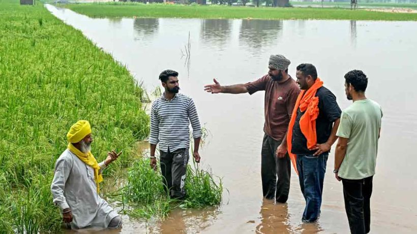 Punjab Flood