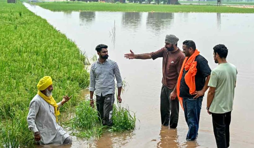 Punjab Flood