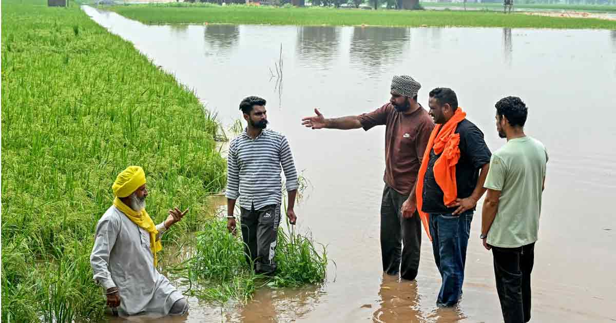Punjab Flood
