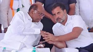 Sharad Power and rahul gandhi