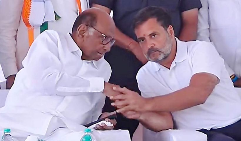 Sharad Power and rahul gandhi