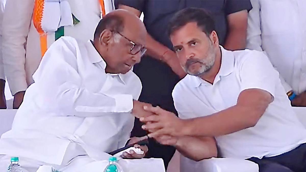 Sharad Power and rahul gandhi