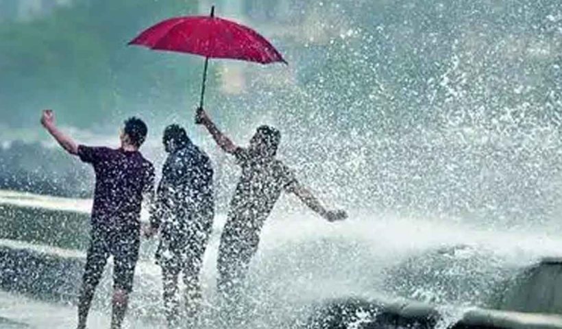 IMD Forecasts
