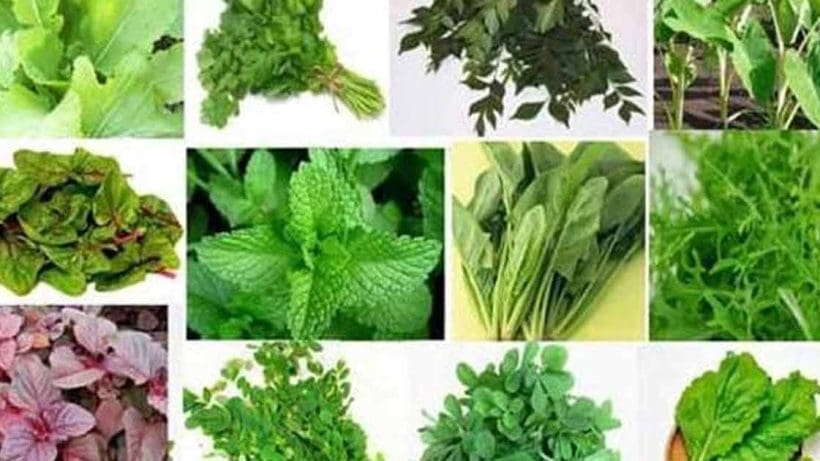 Leafy Vegetables