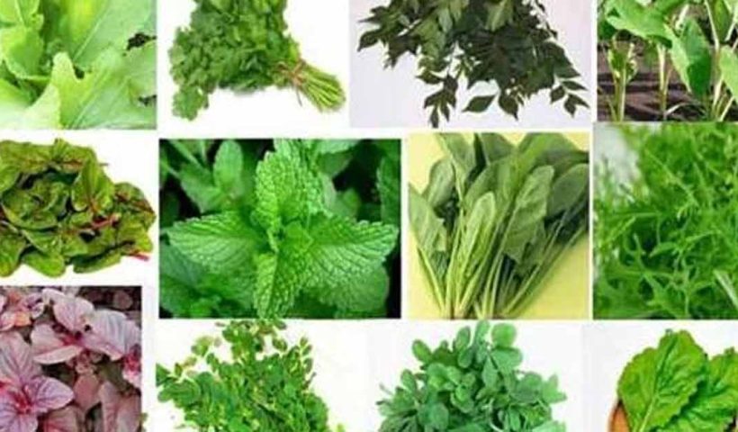 Leafy Vegetables