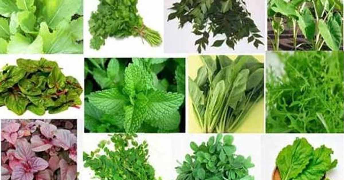 Leafy Vegetables