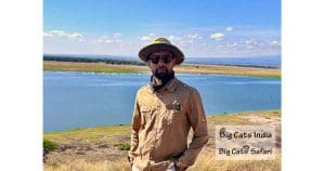 Big Cat