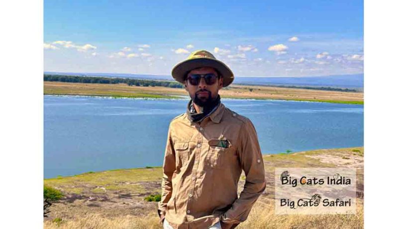 Big Cat