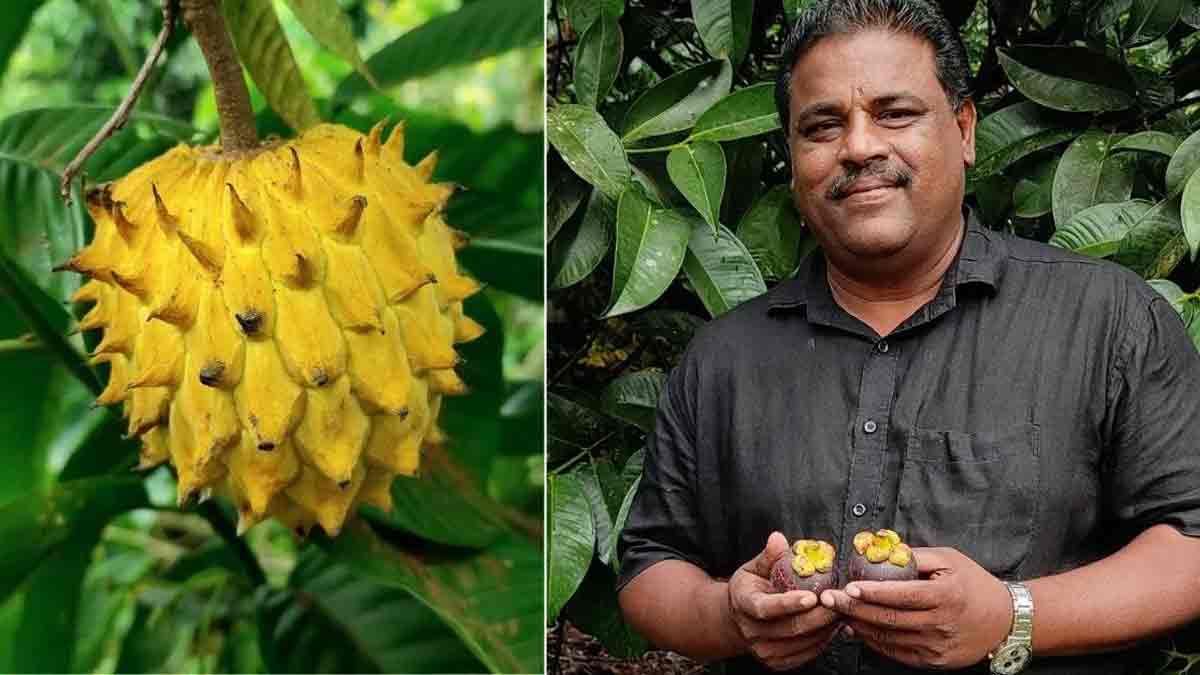 Biju Narayanan from Kannur, Kerala, grows exotic fruits like rambutan, mangosteen, and pepper using high-density and multi-layer cropping.