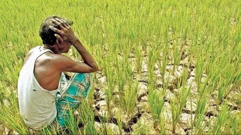 Climate change is severely impacting Indian farmers with recurring droughts, floods, and crop losses. Learn how extreme weather is affecting agriculture, income, and food security in India.