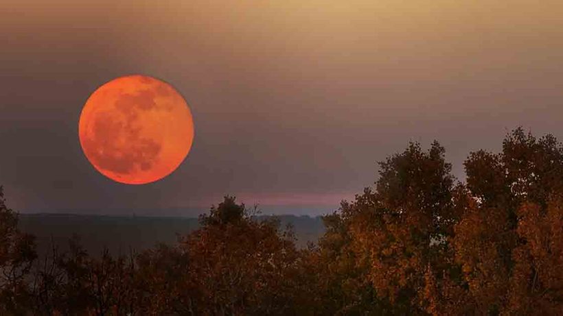 Harvest Moon