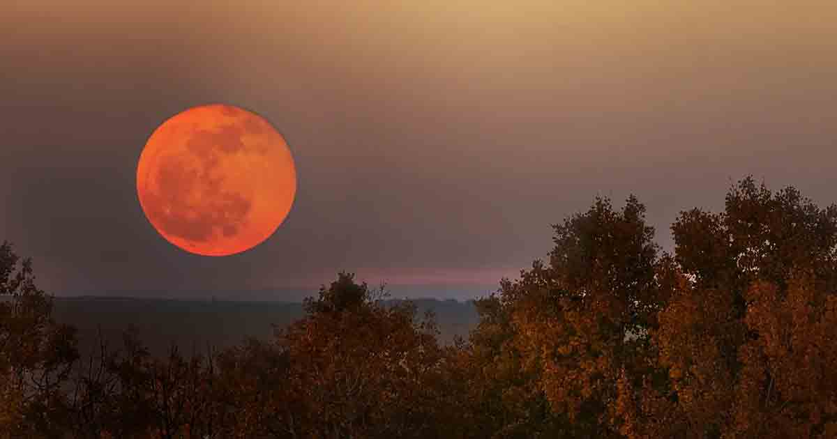 Harvest Moon