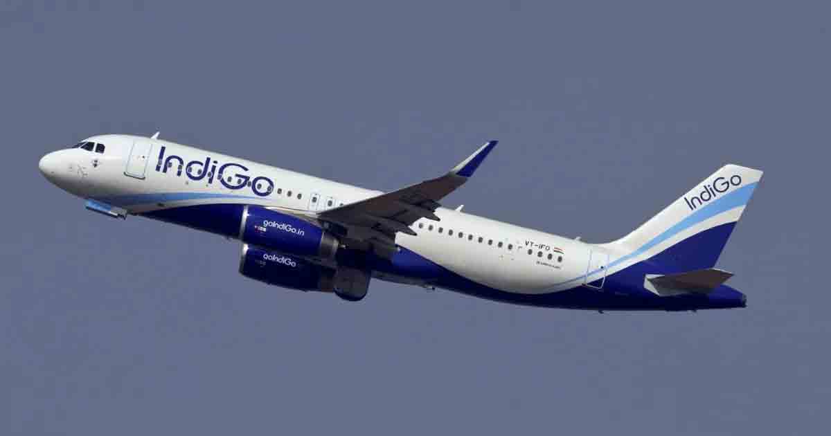 Indigo