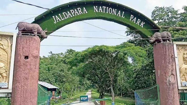 কবে খুলবে জলদাপাড়ার জঙ্গল, বৈঠক শেষে কী জানাল কর্তৃপক্ষ