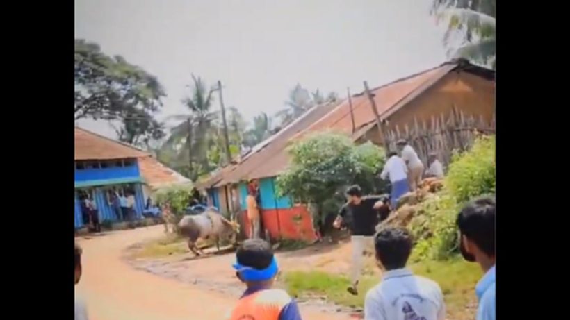 mahalingappa-injured-bull-attack-hori-habba-karnataka