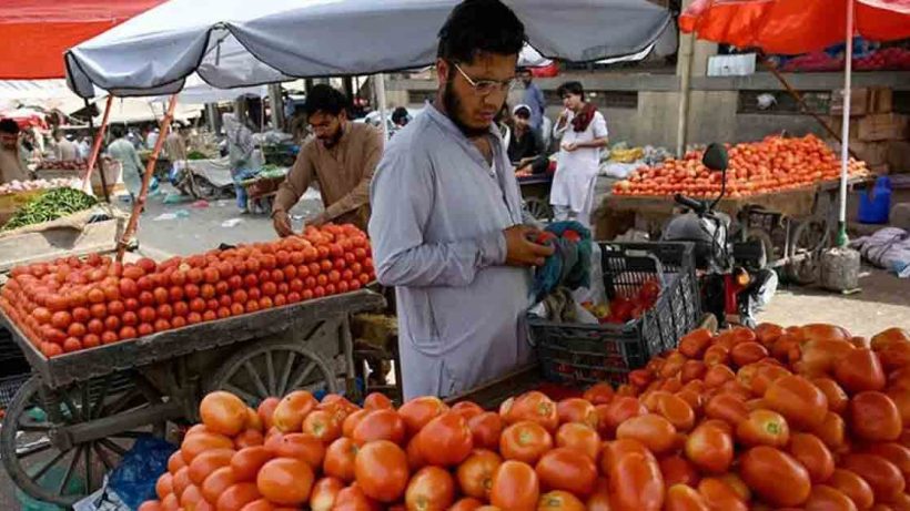 Pakistan tomato price
