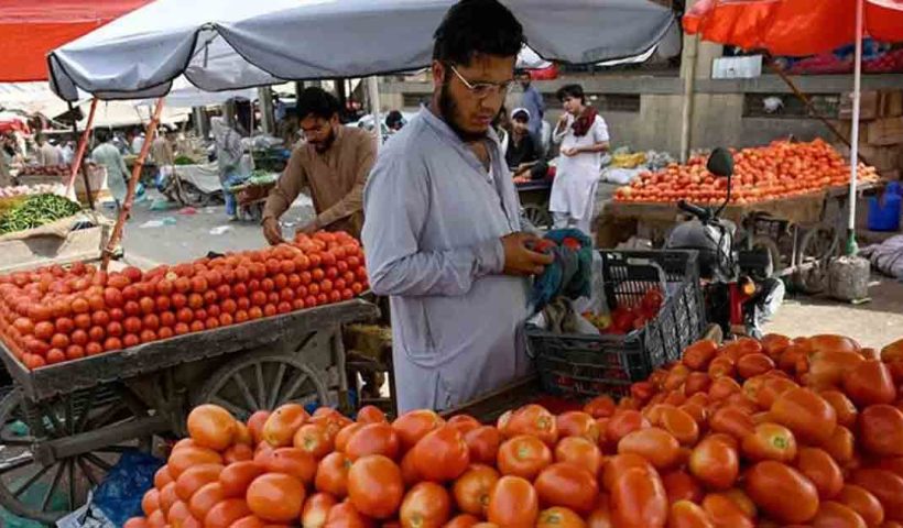 Pakistan tomato price