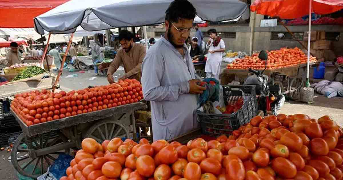 Pakistan tomato price