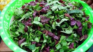 bhoot-chaturdashi-choddo-shaak-list-benefits