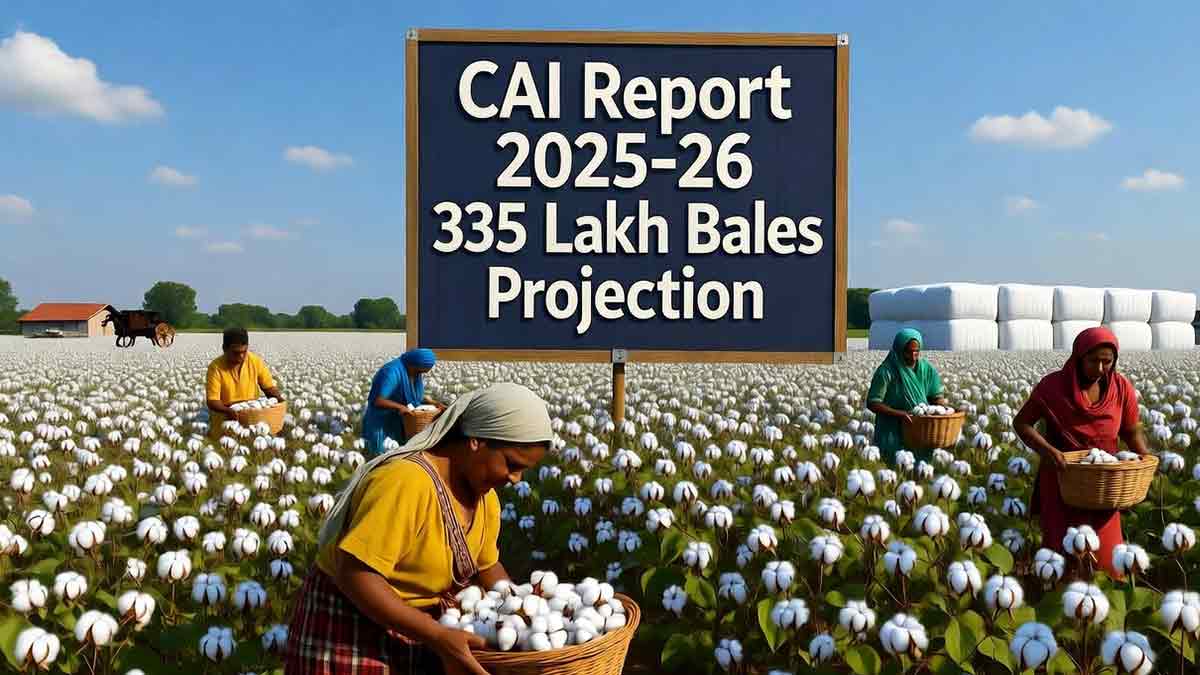 India’s cotton production is expected to rise sharply in 2025-26, reaching up to 335 lakh bales, according to CAI. Gujarat, Maharashtra, and Telangana lead the growth despite MSP price concerns for farmers.