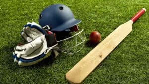 cricket-news-alyssa-healy-hints-retirement-after-india-loss
